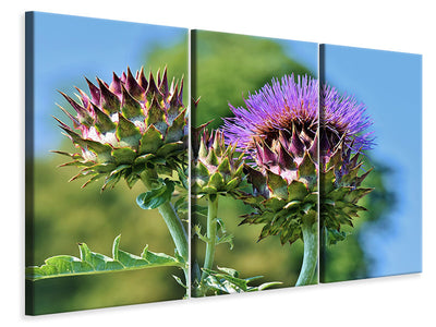 3-piece-canvas-print-the-artichoke-xl