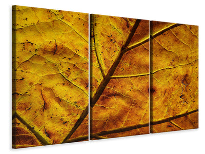 3-piece-canvas-print-the-autumn-leaf