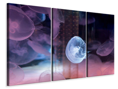 3-piece-canvas-print-the-beauty-of-jellyfish