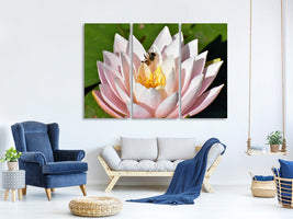 3-piece-canvas-print-the-bee-on-the-water-lily