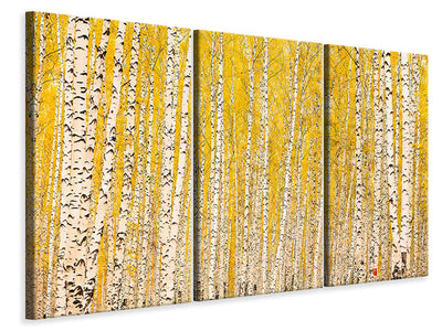 3-piece-canvas-print-the-birch-forest-in-autumn