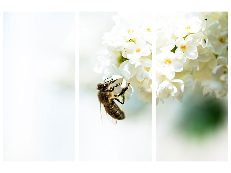 3-piece-canvas-print-the-bumblebee-and-the-flower