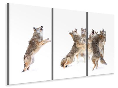 3-piece-canvas-print-the-choir-coyotes