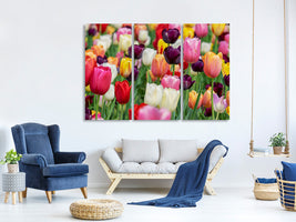 3-piece-canvas-print-the-colors-of-the-tulips