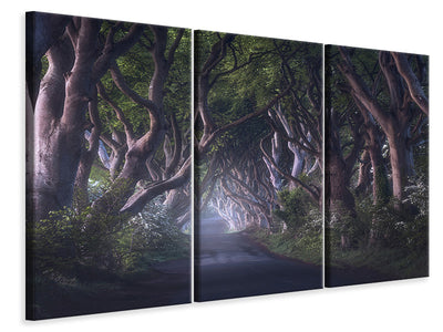 3-piece-canvas-print-the-dark-hedges