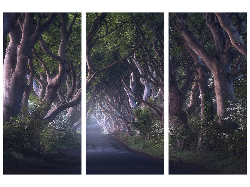 3-piece-canvas-print-the-dark-hedges