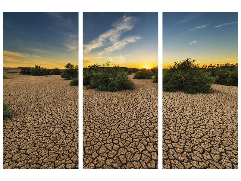 3-piece-canvas-print-the-drought