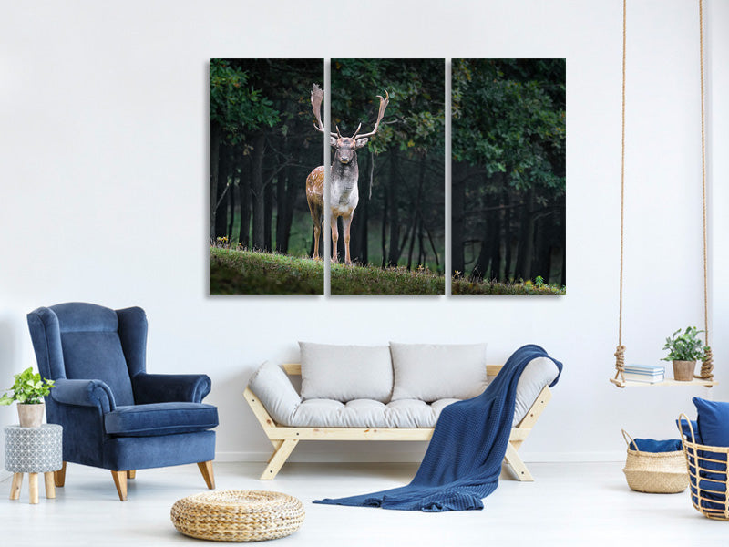 3-piece-canvas-print-the-fallow-deer-ii