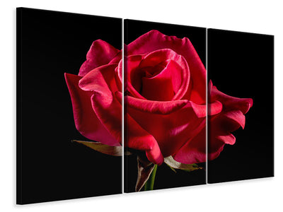 3-piece-canvas-print-the-flower-of-love