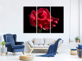 3-piece-canvas-print-the-flower-of-love