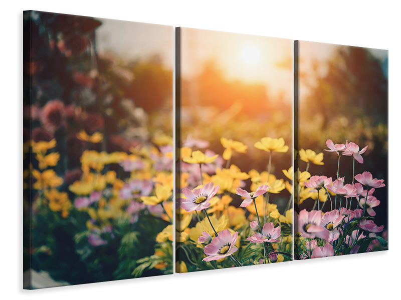 3-piece-canvas-print-the-flowers