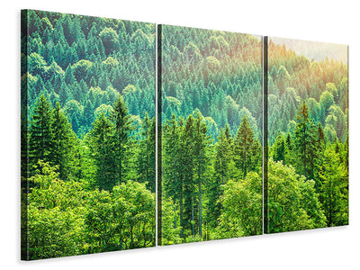 3-piece-canvas-print-the-forest-hill