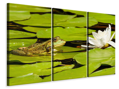 3-piece-canvas-print-the-frog-and-the-water-lily