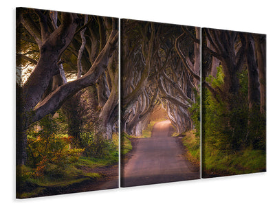3-piece-canvas-print-the-glowing-hedges