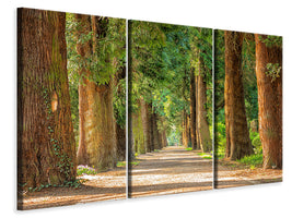 3-piece-canvas-print-the-green-avenue
