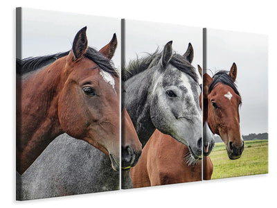 3-piece-canvas-print-the-horse-trio
