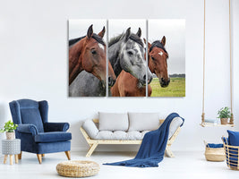 3-piece-canvas-print-the-horse-trio