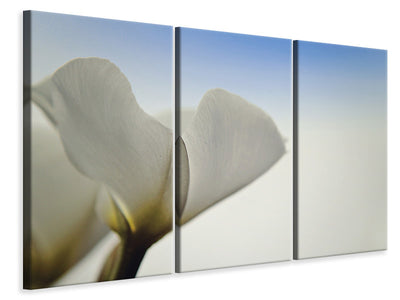3-piece-canvas-print-the-leaf-of-a-lily-blossom