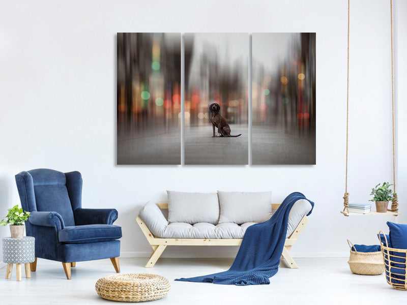 3-piece-canvas-print-the-light-lies-down-on-broadway