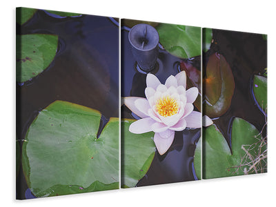 3-piece-canvas-print-the-lily-pad-in-white