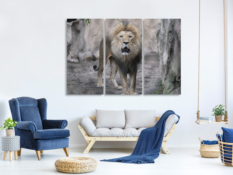 3-piece-canvas-print-the-lion-and-his-kingdom