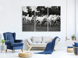 3-piece-canvas-print-the-mustang-herd