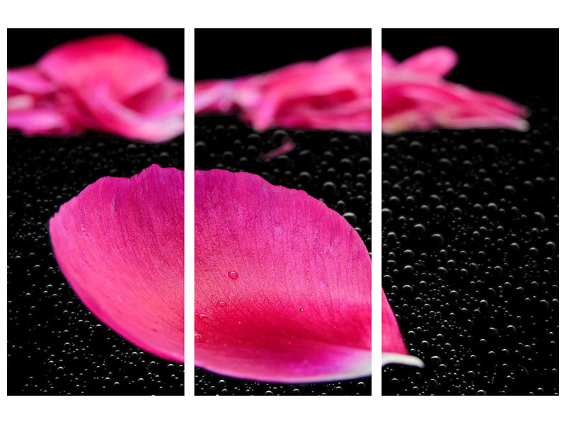 3-piece-canvas-print-the-petals