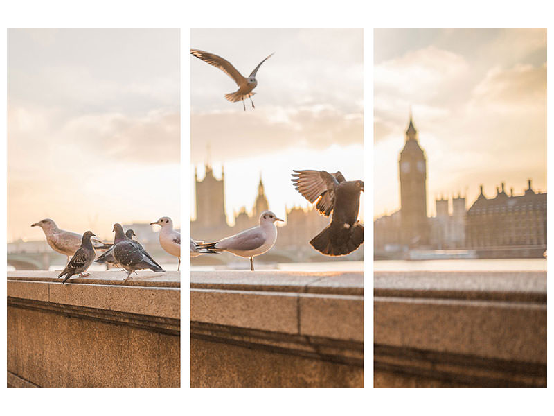3-piece-canvas-print-the-pigeons-on-the-roof