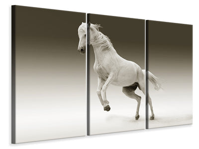 3-piece-canvas-print-the-proud-mare