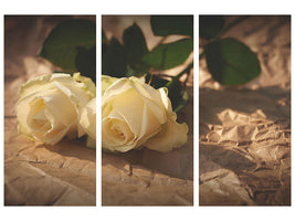 3-piece-canvas-print-the-purity-of-the-roses