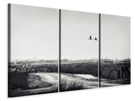 3-piece-canvas-print-the-rustle-of-the-wind