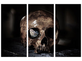 3-piece-canvas-print-the-skull