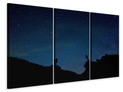3-piece-canvas-print-the-stargazers