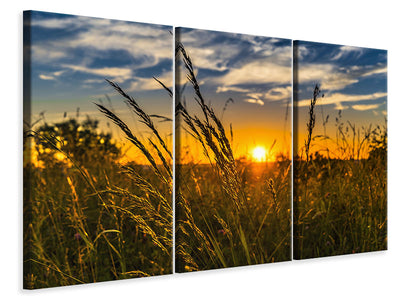 3-piece-canvas-print-the-sunset-on-the-field