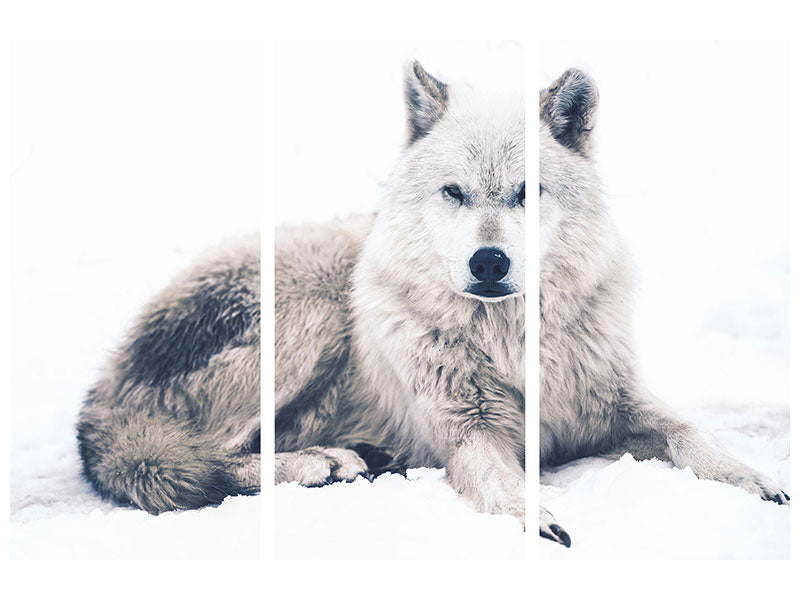 3-piece-canvas-print-the-wolf