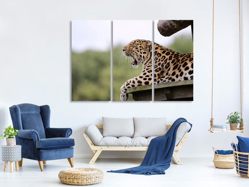 3-piece-canvas-print-tired-leopard