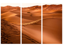 3-piece-canvas-print-traces-in-the-desert