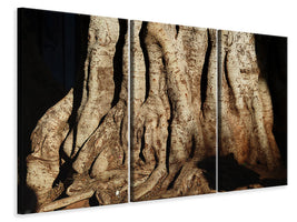 3-piece-canvas-print-tree-close-up