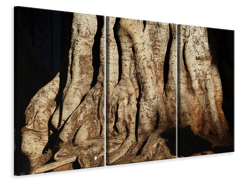 3-piece-canvas-print-tree-close-up