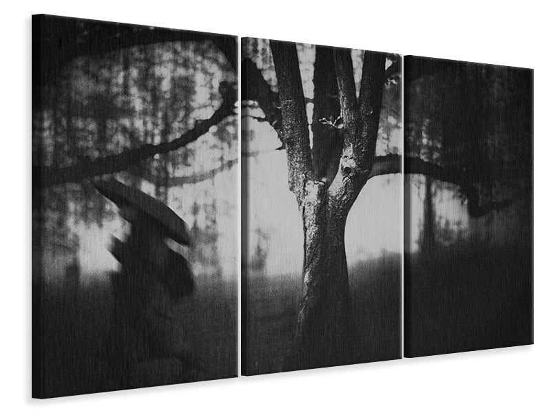 3-piece-canvas-print-tree-p