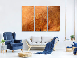 3-piece-canvas-print-tree-rings