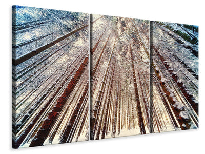 3-piece-canvas-print-trees-in-the-snow