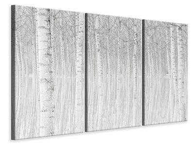 3-piece-canvas-print-trees