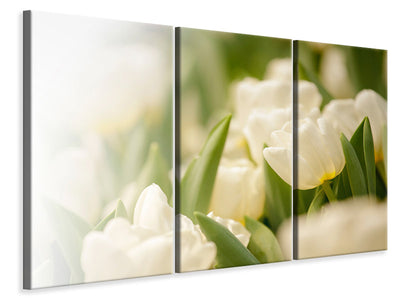 3-piece-canvas-print-tulips-perspective