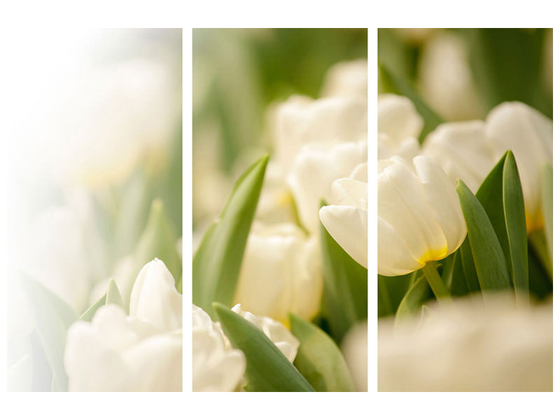 3-piece-canvas-print-tulips-perspective