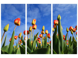3-piece-canvas-print-tulips-tower-to-the-sky