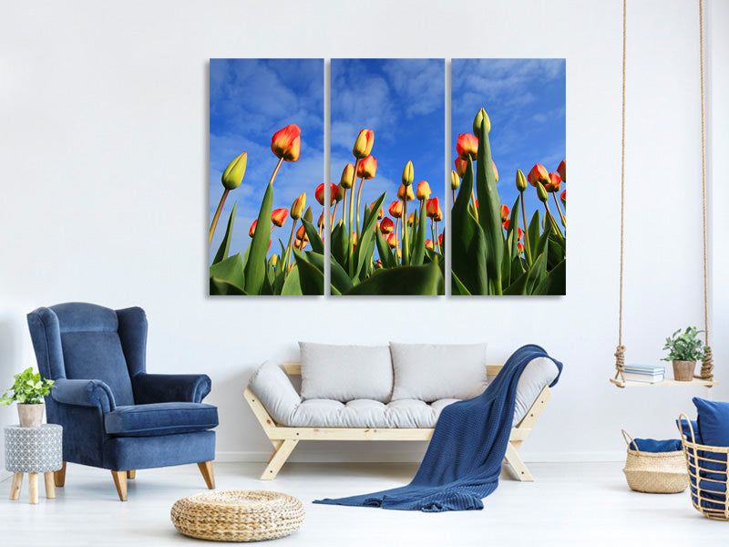 3-piece-canvas-print-tulips-tower-to-the-sky
