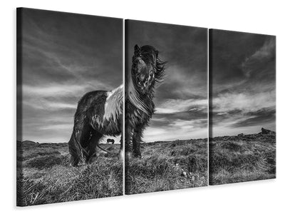 3-piece-canvas-print-two-of-a-kind