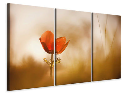 3-piece-canvas-print-untitled-xxxi