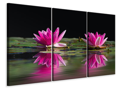 3-piece-canvas-print-water-lilies-duo-in-pink